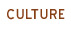 La Culture des Palmiers